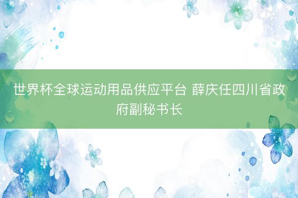 世界杯全球运动用品供应平台 薛庆任四川省政府副秘书长