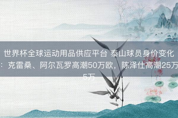 世界杯全球运动用品供应平台 泰山球员身价变化：克雷桑、阿尔瓦罗高潮50万欧，陈泽仕高潮25万