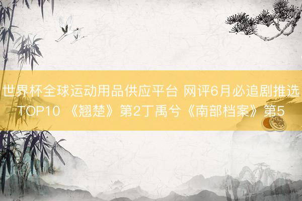 世界杯全球运动用品供应平台 网评6月必追剧推选TOP10 《翘楚》第2丁禹兮《南部档案》第5