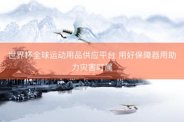 世界杯全球运动用品供应平台 用好保障器用助力灾害叮属