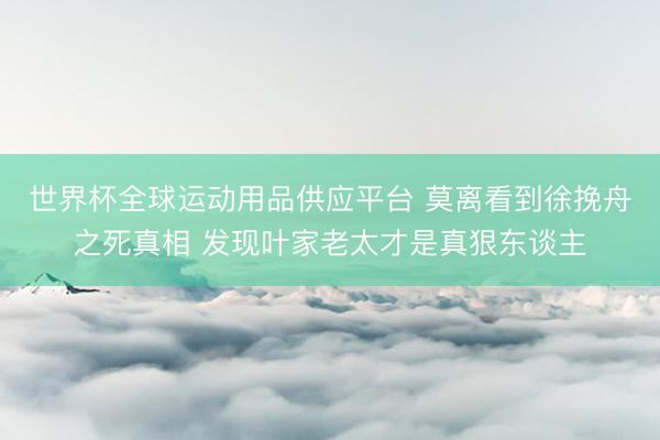 世界杯全球运动用品供应平台 莫离看到徐挽舟之死真相 发现叶家老太才是真狠东谈主
