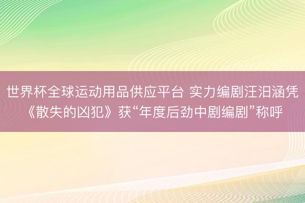 世界杯全球运动用品供应平台 实力编剧汪汨涵凭《散失的凶犯》获“年度后劲中剧编剧”称呼
