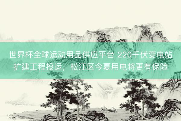 世界杯全球运动用品供应平台 220千伏变电站扩建工程投运，松江区今夏用电将更有保险
