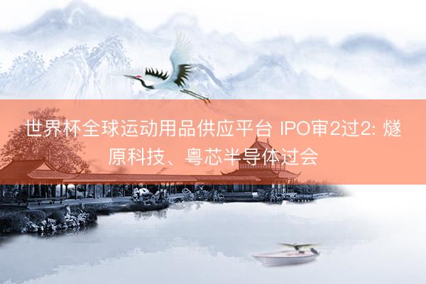 世界杯全球运动用品供应平台 IPO审2过2: 燧原科技、粤芯半导体过会
